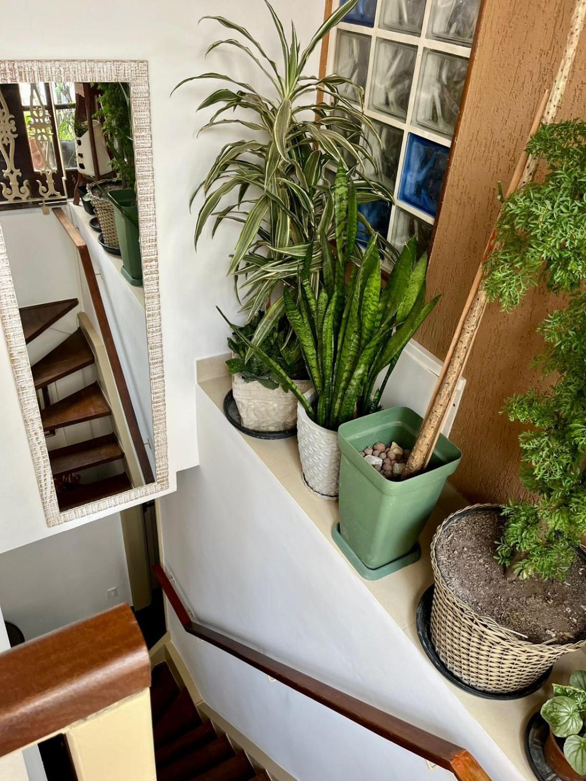 Copa House Homestay